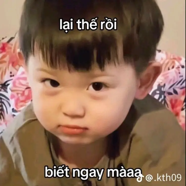 Meme Chúc Ngủ Ngon Hài: Lời Chúc Ngọt Ngào Trên Các Hình Ảnh 51