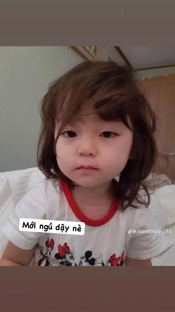 Meme Chúc Ngủ Ngon Hài: Lời Chúc Ngọt Ngào Trên Các Hình Ảnh 62