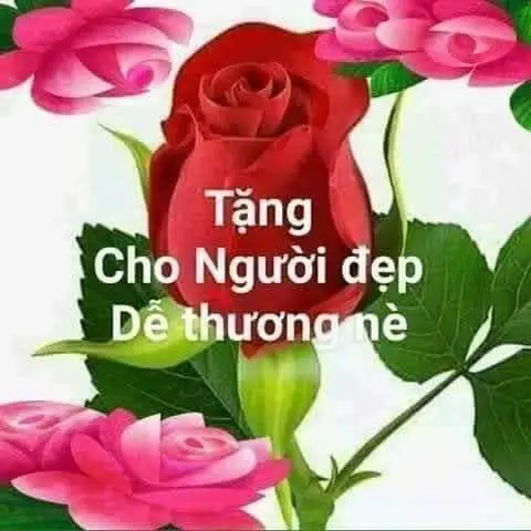 Meme Chúc Ngủ Ngon Hài: Lời Chúc Ngọt Ngào Trên Các Hình Ảnh 68