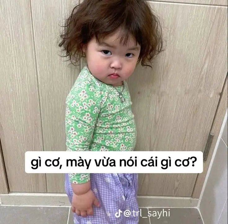 Meme Em Bé Giơ Tay: Những Hình Ảnh Ngộ Nghỉnh Đầy Vui Vẻ 31