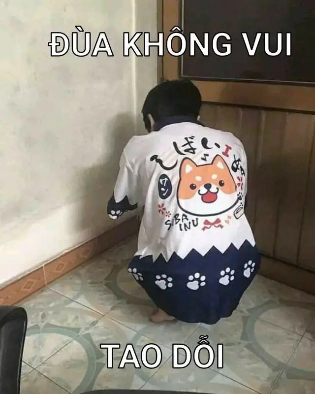 Seen Không Rep Tin Nhắn Meme: Những Hình Ảnh Gây Cười Về Tin Nhắn 14