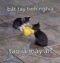 Seen Không Rep Tin Nhắn Meme: Những Hình Ảnh Gây Cười Về Tin Nhắn 18