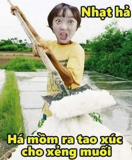 Seen Không Rep Tin Nhắn Meme: Những Hình Ảnh Gây Cười Về Tin Nhắn 25