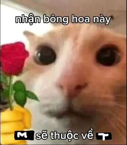 Seen Không Rep Tin Nhắn Meme: Những Hình Ảnh Gây Cười Về Tin Nhắn 38