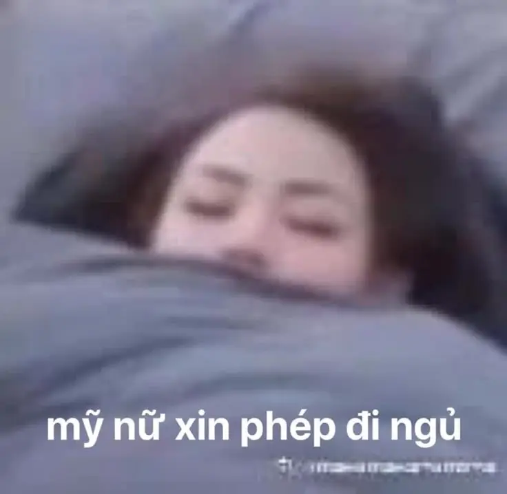 Seen Không Rep Tin Nhắn Meme: Những Hình Ảnh Gây Cười Về Tin Nhắn 48