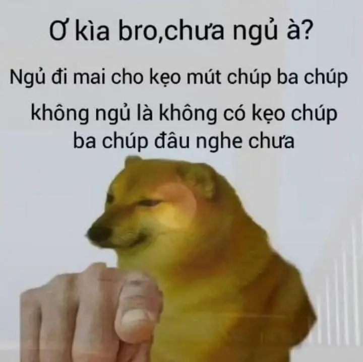 Seen Không Rep Tin Nhắn Meme: Những Hình Ảnh Gây Cười Về Tin Nhắn 62