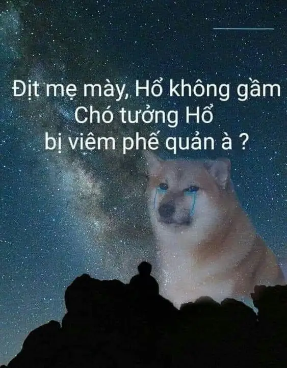 Seen Không Rep Tin Nhắn Meme: Những Hình Ảnh Gây Cười Về Tin Nhắn 80