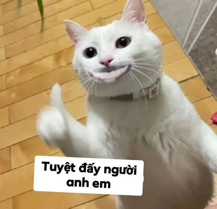 Tao báo công an meme: Khi tình huống trở nên dở khóc dở cười 10