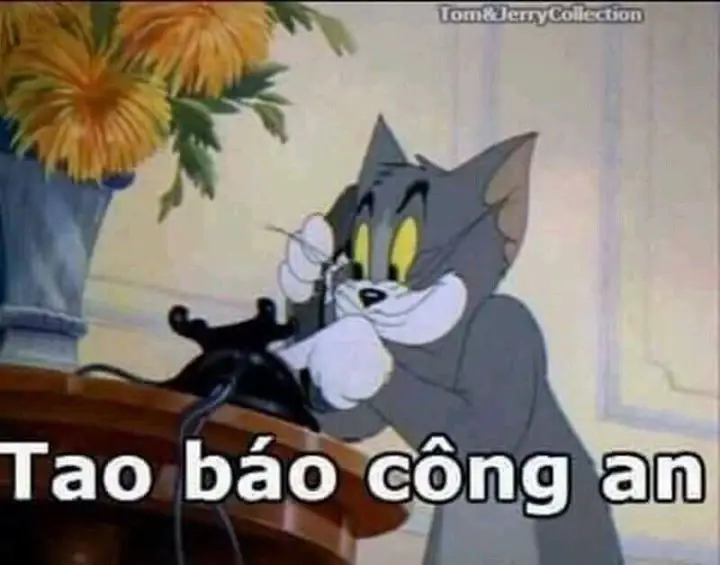 Tao báo công an meme: Khi tình huống trở nên dở khóc dở cười 12