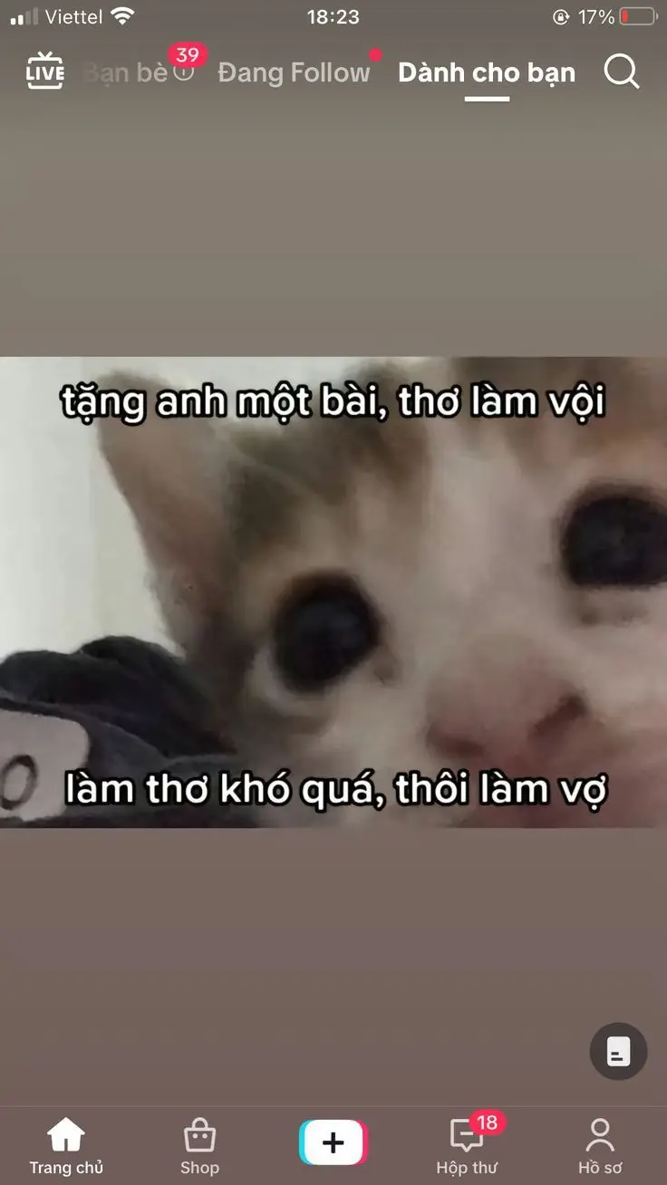 Tao báo công an meme: Khi tình huống trở nên dở khóc dở cười 16