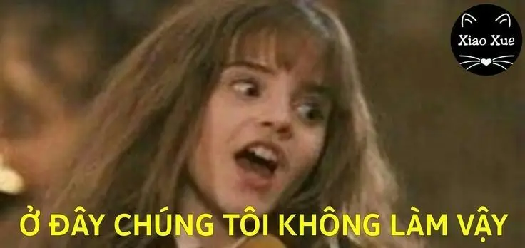 Tao báo công an meme: Khi tình huống trở nên dở khóc dở cười 21