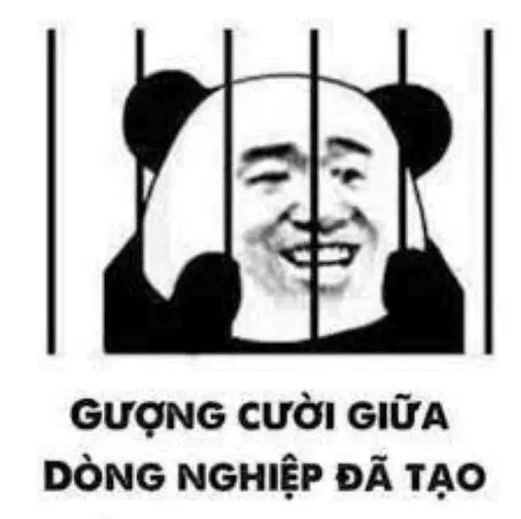 Tao báo công an meme: Khi tình huống trở nên dở khóc dở cười 23