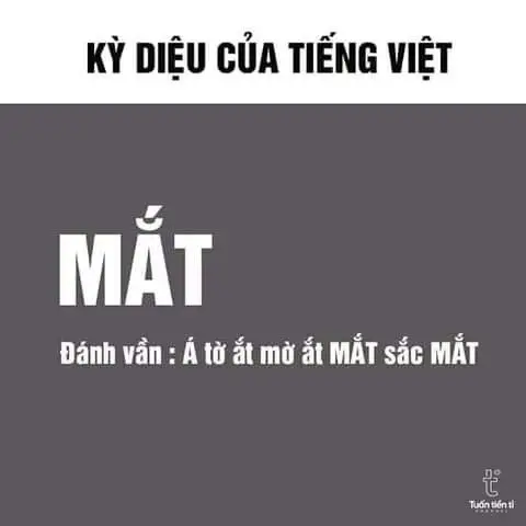 Tao báo công an meme: Khi tình huống trở nên dở khóc dở cười 43