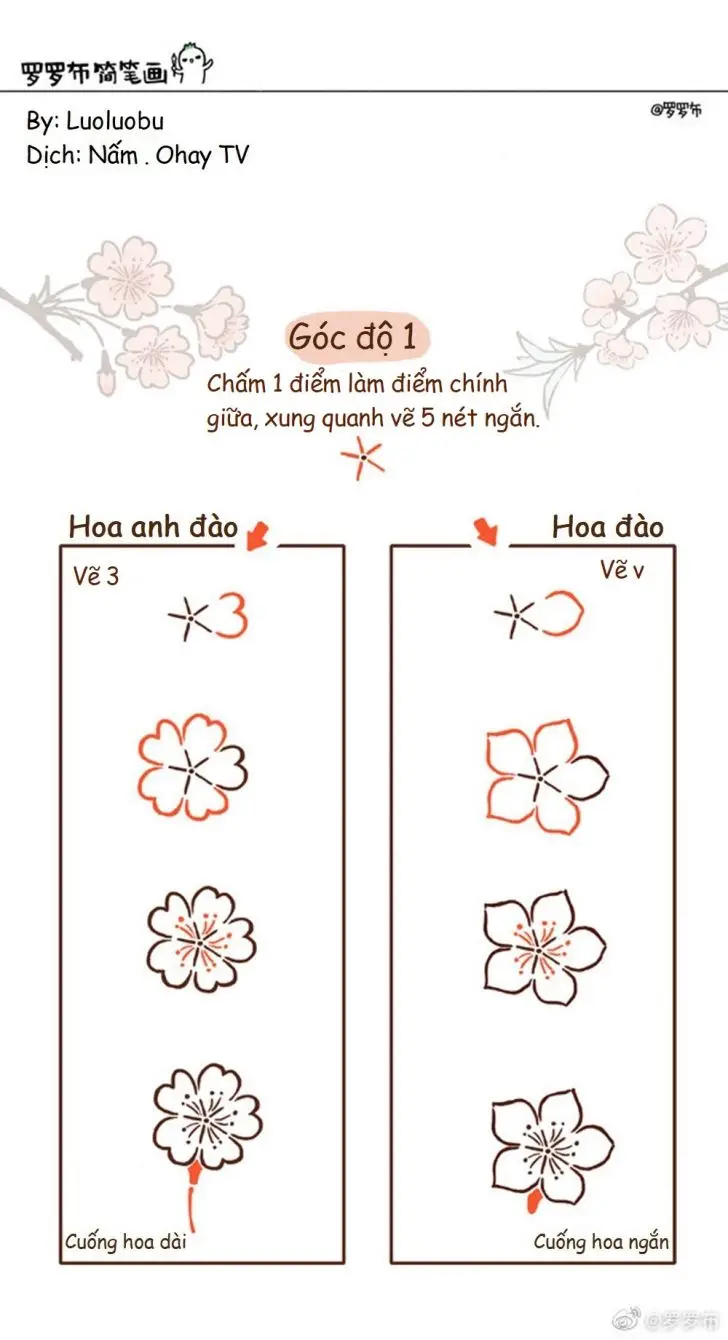 Vẽ Cành Hoa Đào Đơn Giản: Hình Ảnh Đẹp 23