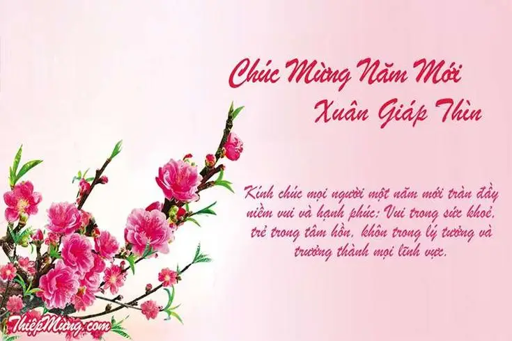 Vẽ Cành Hoa Đào Đơn Giản: Hình Ảnh Đẹp 36