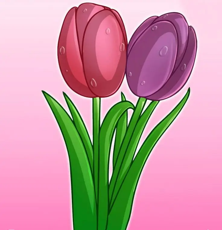 Vẽ Hoa Tulip Đơn Giản: Nghệ Thuật Vẽ Dễ Dàng Cho Người Mới Bắt Đầu 8