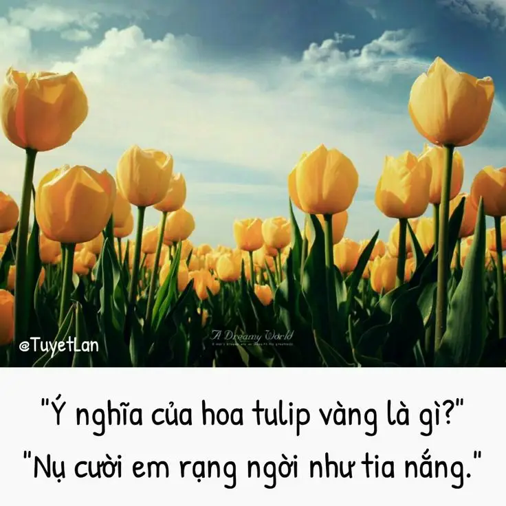 Vẽ Hoa Tulip Đơn Giản: Nghệ Thuật Vẽ Dễ Dàng Cho Người Mới Bắt Đầu 62