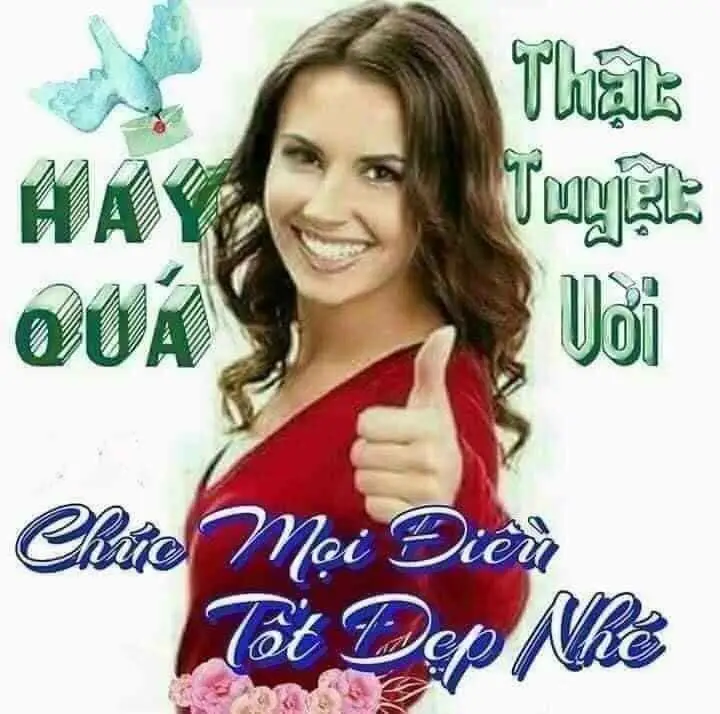 Bộ Sưu Tập Hình Ảnh Xinh Đẹp Tuyệt Vời Meme 7