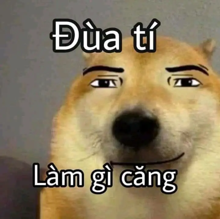 Ảnh nền điện thoại meme độc đáo cho dân mạng 40