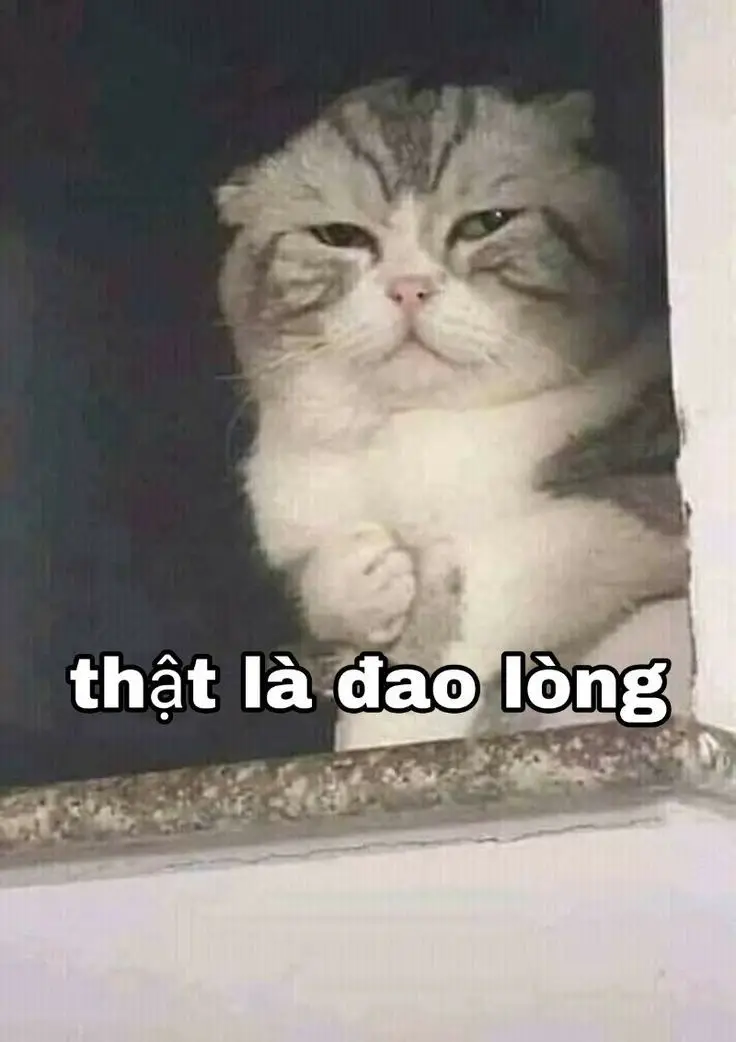 Ảnh nền điện thoại meme độc đáo cho dân mạng 55