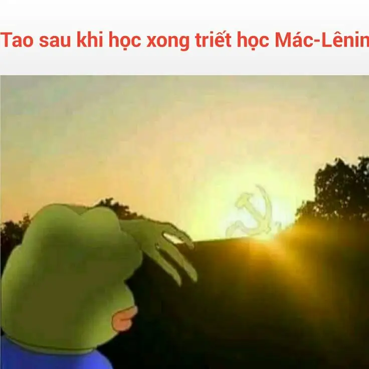 Ánh sáng của đảng meme: Hài hước và châm biếm 23