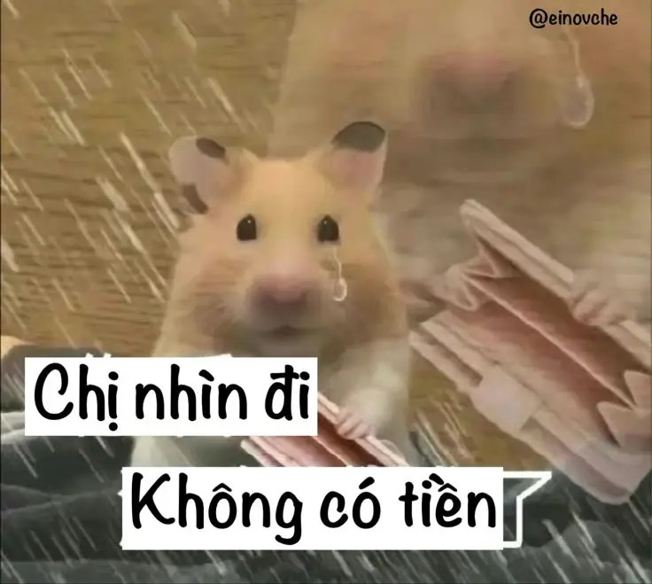 Hai Chữ Trong Sạch Meme: Những Hình Ảnh Ấn Tượng Nhất 14