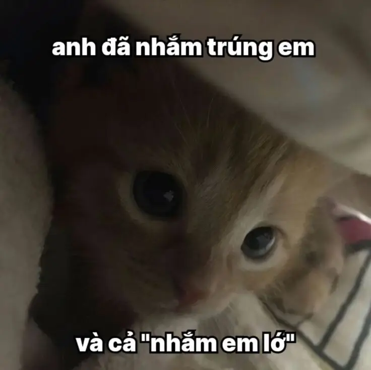 Hai Chữ Trong Sạch Meme: Những Hình Ảnh Ấn Tượng Nhất 54