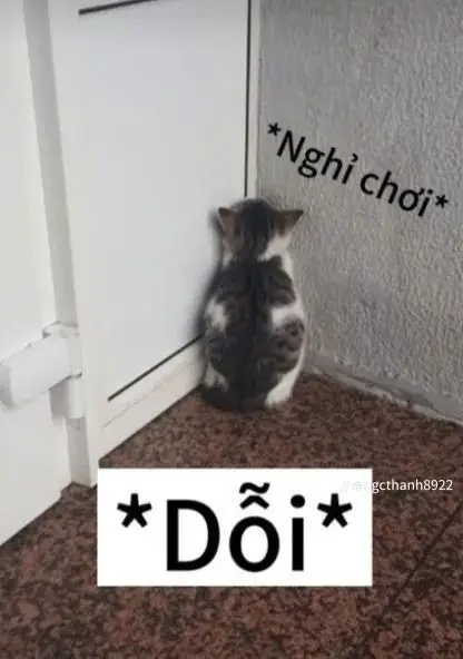 Hai Chữ Trong Sạch Meme: Những Hình Ảnh Ấn Tượng Nhất 65