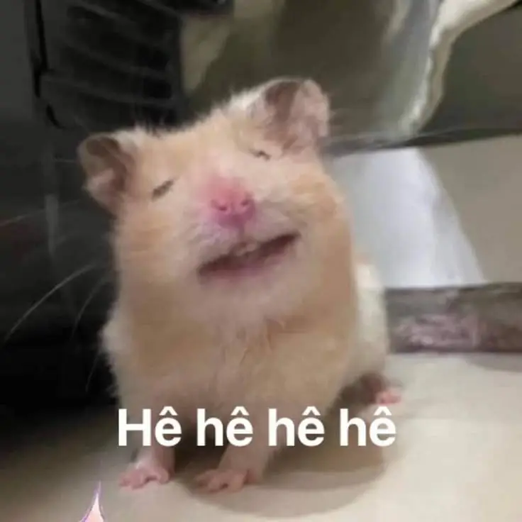 Hài hước meme chuột hamster: Những hình ảnh đáng yêu và thú vị 21