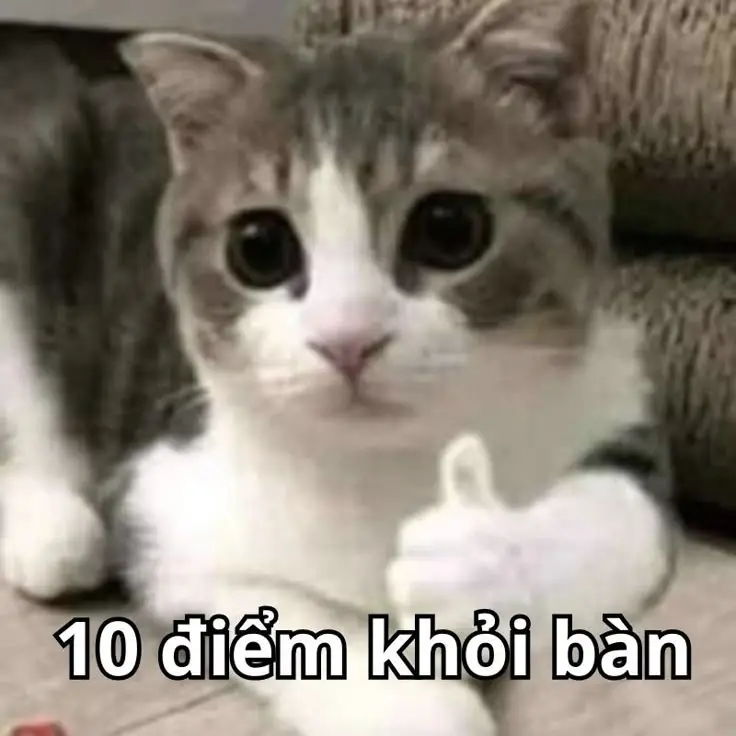 Hình ảnh bất lực meme: Tuyển tập những khoảnh khắc hài hước nhất 3