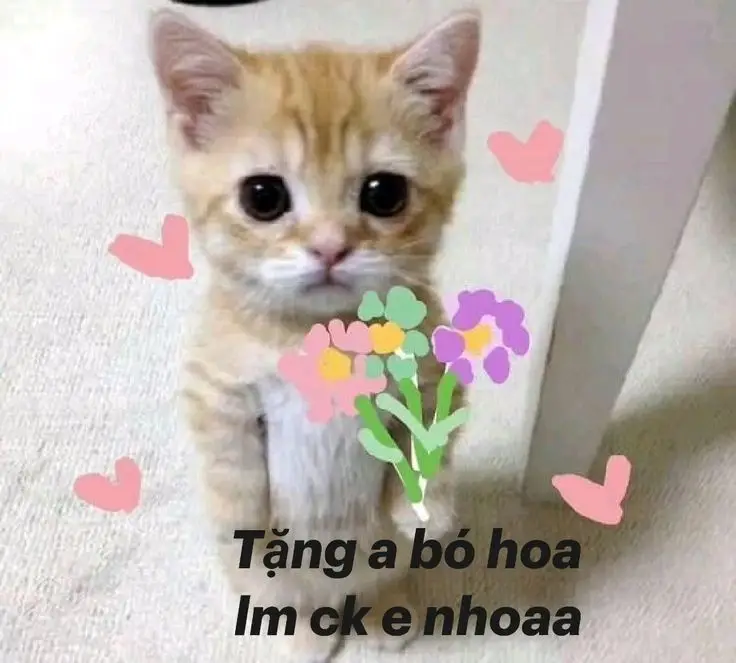 Hình ảnh bông hoa cute dễ thương và đầy màu sắc 9