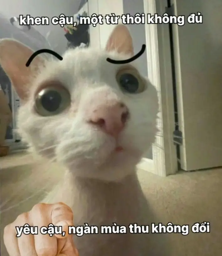 Meme không biết nói gì: Khi ngôn từ trở nên thừa thãi 4