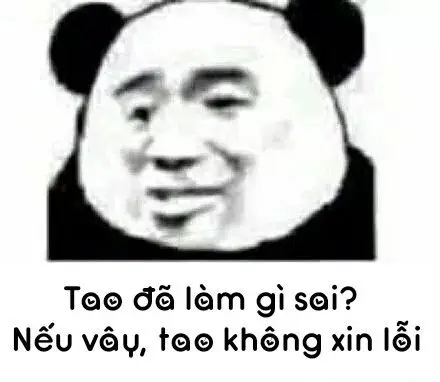 Meme không biết nói gì: Khi ngôn từ trở nên thừa thãi 11