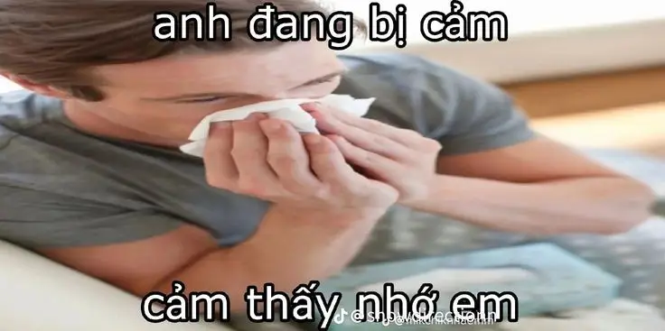 Meme không biết nói gì: Khi ngôn từ trở nên thừa thãi 28