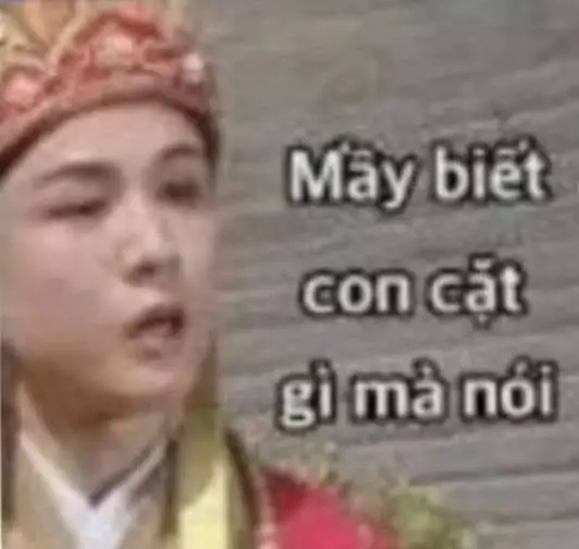 Meme không biết nói gì: Khi ngôn từ trở nên thừa thãi 32