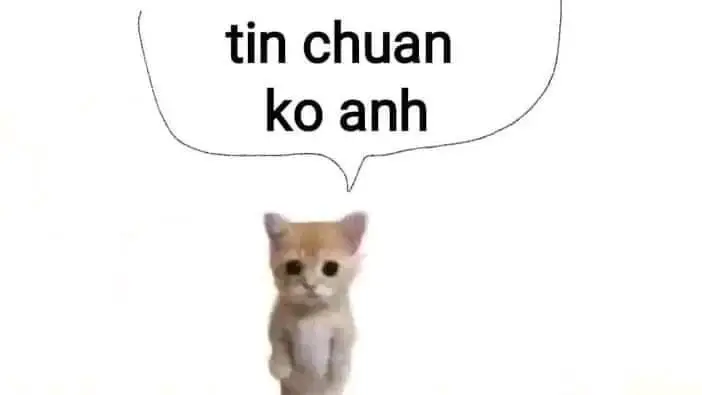 Meme không biết nói gì: Khi ngôn từ trở nên thừa thãi 47