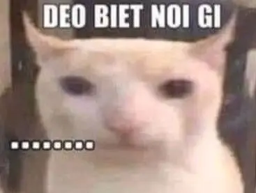 Meme không biết nói gì: Khi ngôn từ trở nên thừa thãi 67