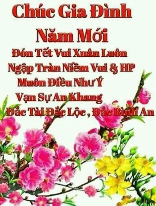 Meme Chúc Mừng Năm Mới: Ảnh Chúc Tết Vui Nhộn 41