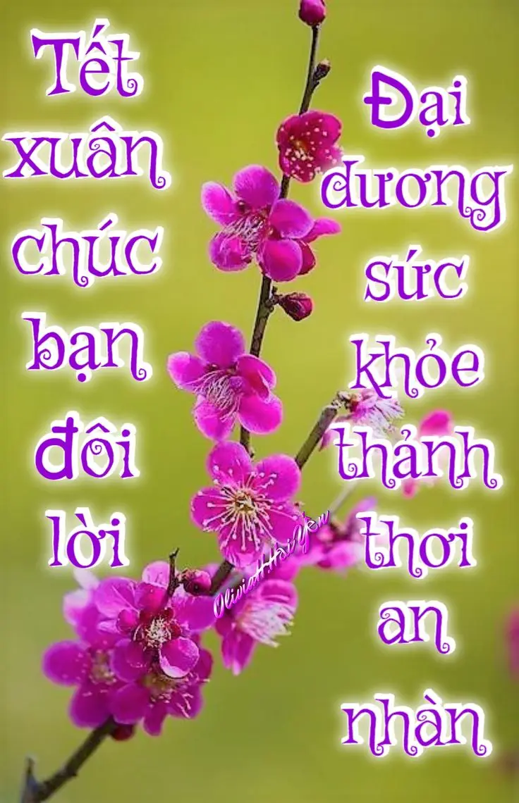 Meme Chúc Mừng Năm Mới: Ảnh Chúc Tết Vui Nhộn 67