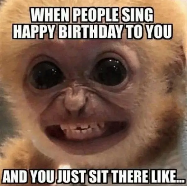 Meme Happy Birthday to You: Chúc mừng sinh nhật độc đáo 6