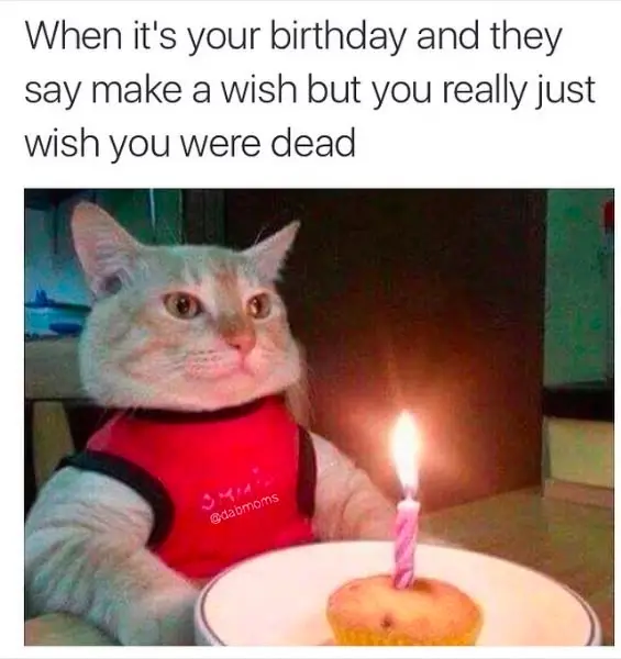 Meme Happy Birthday to You: Chúc mừng sinh nhật độc đáo 19