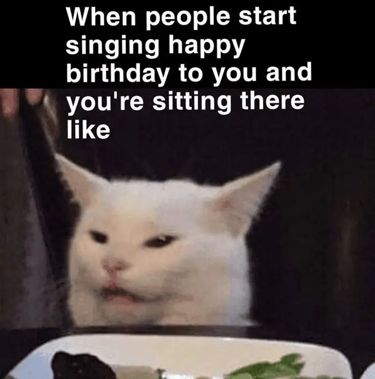 Meme Happy Birthday to You: Chúc mừng sinh nhật độc đáo 34