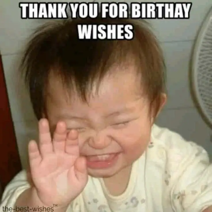 Meme Happy Birthday to You: Chúc mừng sinh nhật độc đáo 43