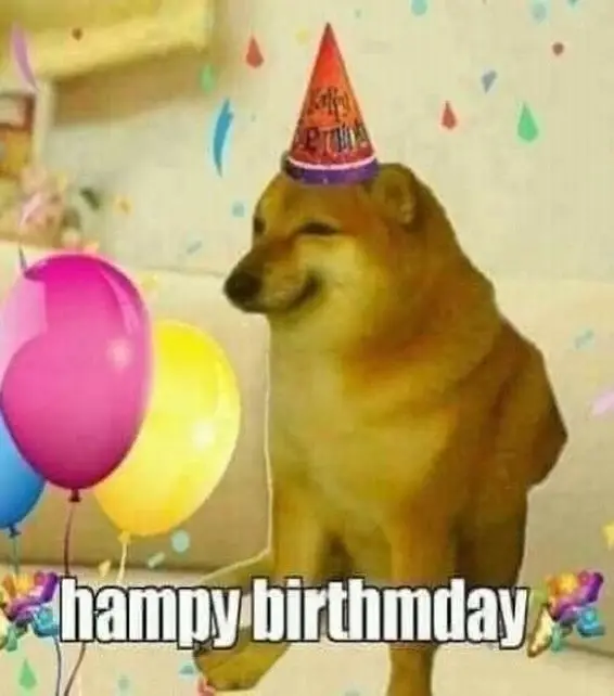 Meme Happy Birthday to You: Chúc mừng sinh nhật độc đáo 52