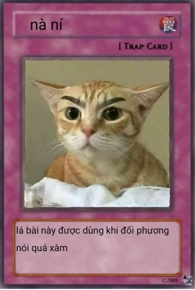 Meme kết thúc bài thuyết trình: Nụ cười làm sáng bừng không khí 35