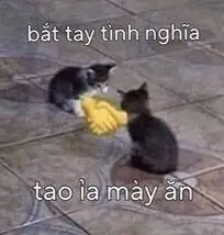 Những hình ảnh meme hài hước nhất để cười thả ga 59