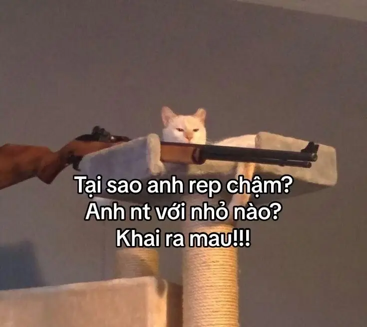 Tâm và Gia Huy meme: Những khoảnh khắc thú vị 75