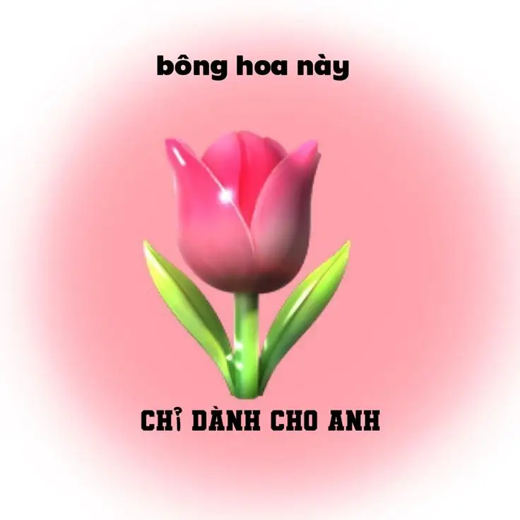 Tặng Em Bông Hoa Meme: Bộ Ảnh Độc Đáo Và Dễ Thương 2