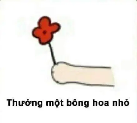 Tặng Em Bông Hoa Meme: Bộ Ảnh Độc Đáo Và Dễ Thương 7