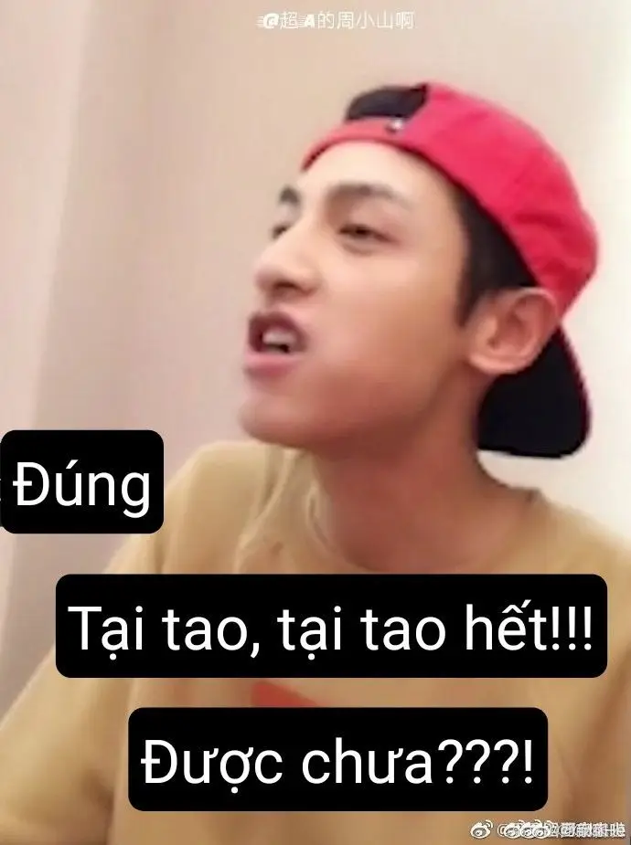 Tặng Em Bông Hoa Meme: Bộ Ảnh Độc Đáo Và Dễ Thương 42